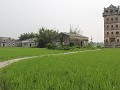 Zili village, frisgroene rijstvelden omringen de t