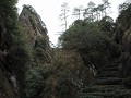 Wuyishan, theeveldjes tussen de rotsen, dag 2