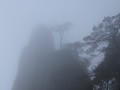 Sanqingshan NP - in de mist