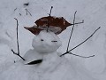 Zhangjiajie, mini sneeuwpop, dag 1