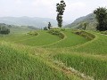 wandeling tussen de Bada rijstterrassen