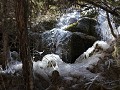 Jiuzhaigou NP, Pearl Shoal waterfall, ijs en water