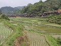 rijstvelden aan Zhaoxing