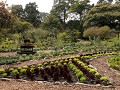 Bogotá, jardin Botánico Jose Celestino Mutis