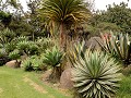 Bogotá, jardin Botánico Jose Celestino Mutis
