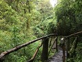 Cascada Cóndor Machay, vele bruggetjes tijdens de 