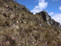 Cajas PN, voorbij de top van Cerro San Luis, trail