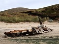 Falklands, New Island Settlement, landing op het s