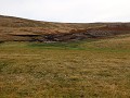 Falklands, New Island Settlement, wandeling over h