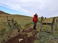 Falklands, New Island Settlement, wandeling over h