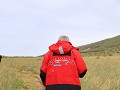 Falklands, New Island Settlement, wandeling over h