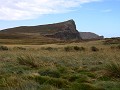 Falklands, New Island Settlement, wandeling over h