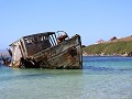 Falklands, New Island Settlement, scheepswrak  