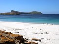 Falklands, New Island North Harbour, wit zandstran