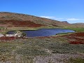 Falklands, New Island North Harbour, wandeling naa