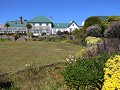 Falklands, Stanley, government house  
