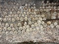 Opdas Mass burial cave