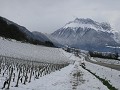 Massif des Bauges - wijngaarden in de sneeuw