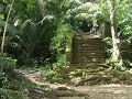 Iles du Salut : trap naar de door de jungle overwo