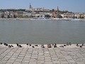 Pest : bronzen schoentjes aan de Donau-oever herde