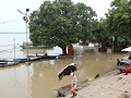 overstroming aan Assi ghat