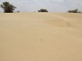 woestijnwandeling in Desert NP