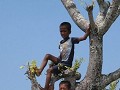 daguitstap - spelende kinderen in gipsy dorp