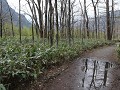 Kamikochi berggebied, wandelparadijs, tussen de bu