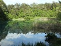 Goshiki-Numa lakes 