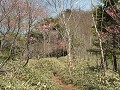 Nikko NP - wandeling boven Chuzenji lake en omgevi