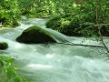 Oirase stream, kracht van het stromende water