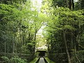 Kyoto, Daitokuji Mae zen tempel  