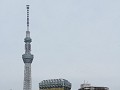 Tokyo Sky Tree, gezien van dakterras Asakusa touri