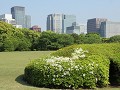 Tokyo, tuin Imperial palace 