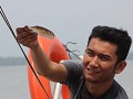 visjes om de Irrawaddy dolfijnen te lokken, onderw