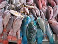 verse vis op de vismarkt