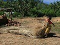 trektocht 1 : in het dorp Taryaw (Palaung bevolkin