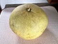 Trinidad del Paraná, pomelo van 2,4 kg, gekregen v