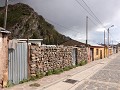 Tuti