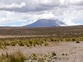 onderweg tussen Cañahuas en Chivay, Misti vulkaan