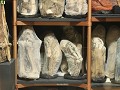 Leymebamba, mummies in het museum