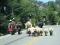 onderweg van Polloc naar Cajamarca