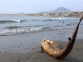 Huanchaco, Totora bootje op het strand