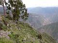 Colca Canyon, Cabanaconde, dit wandelpad daalt 1.0