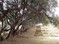 Huancayo, Bosque Dorado, oude Inca site