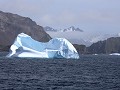 South Georgia, varen van Elsehul Bay naar Right Wh