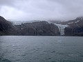 South Georgia, Gold Harbour, Bertrab gletsjer  