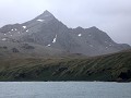 South Georgia, Gold Harbour  
