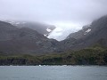 South Georgia, Gold Harbour  