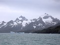South Georgia, Cooper Island  